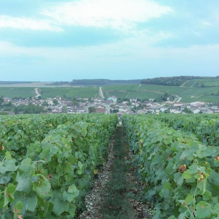 Jaucourt Une Parenthese En Champagne מראה חיצוני תמונה
