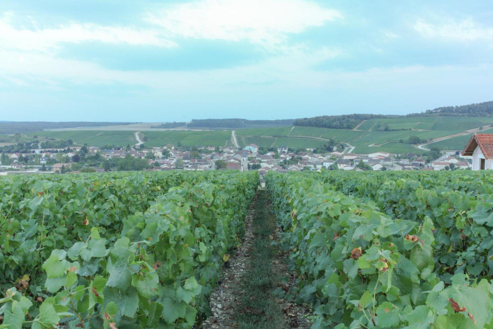 Jaucourt Une Parenthese En Champagne מראה חיצוני תמונה